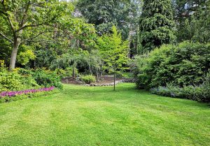 Optimiser l'expérience du jardin à Coimeres
